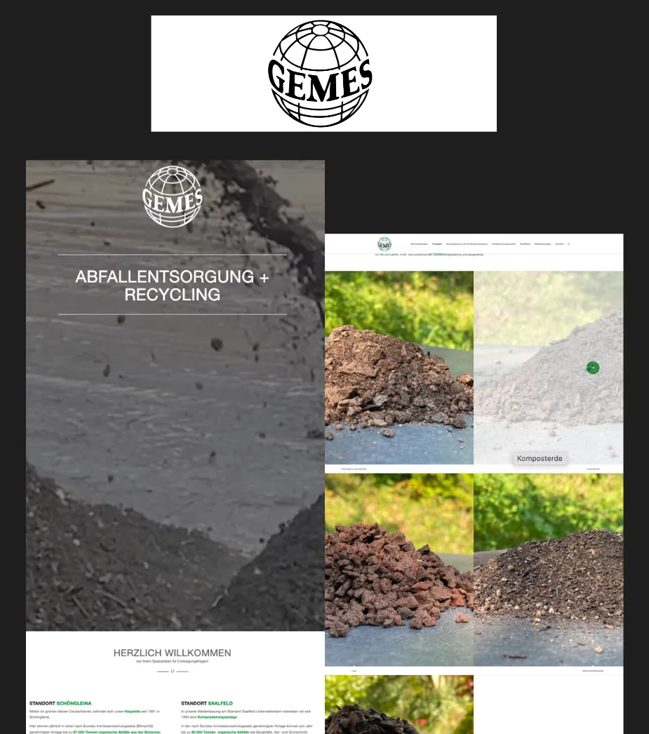 Website GEMES